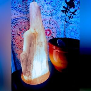 Selenite crystal lamp